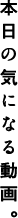 なんだか気になる動画。